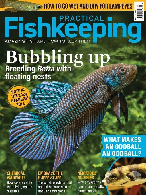 Title details for Practical Fishkeeping by Warners Group Publications Plc - Available